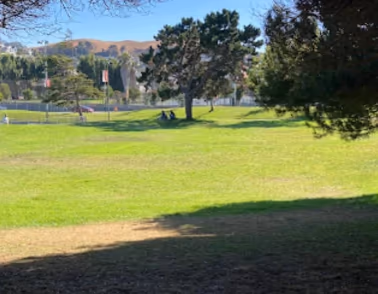 Avalon Dogpatch Dog Park at Esprit Park photo 1